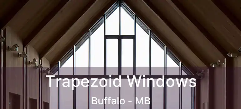 Trapezoid Windows Buffalo - MB