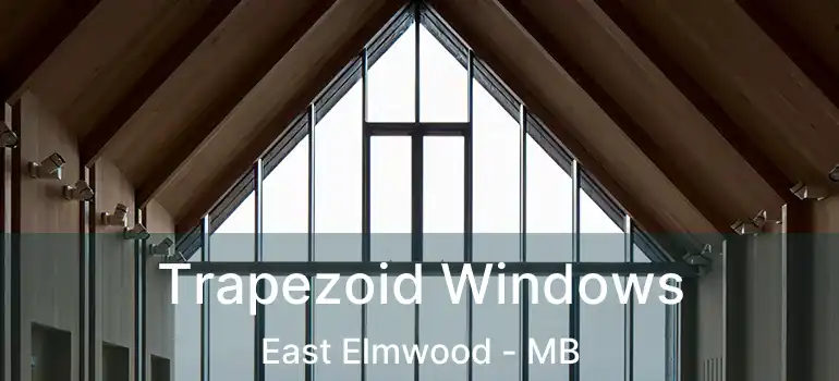  Trapezoid Windows East Elmwood - MB