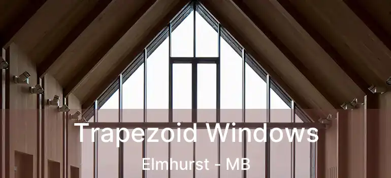 Trapezoid Windows Elmhurst - MB