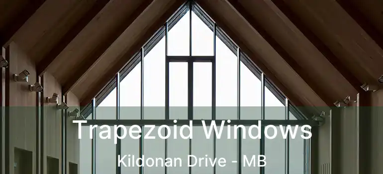  Trapezoid Windows Kildonan Drive - MB