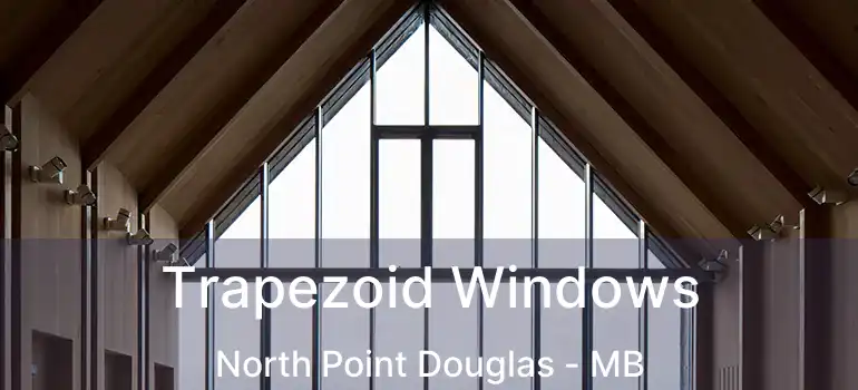  Trapezoid Windows North Point Douglas - MB
