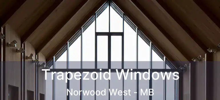  Trapezoid Windows Norwood West - MB