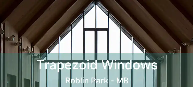  Trapezoid Windows Roblin Park - MB