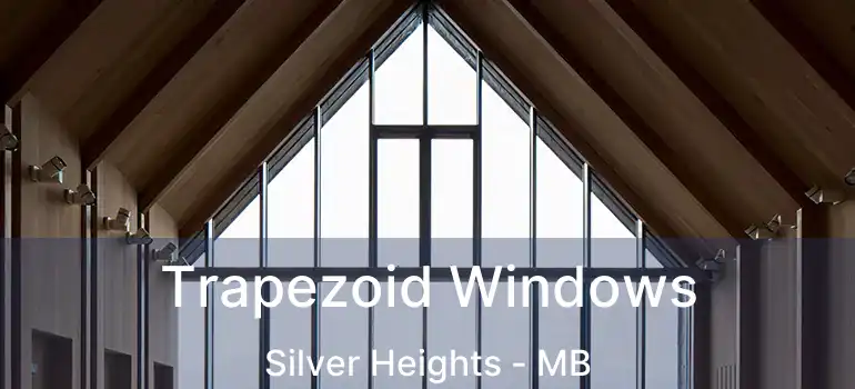  Trapezoid Windows Silver Heights - MB