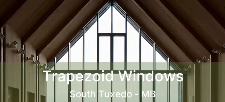  Trapezoid Windows South Tuxedo - MB