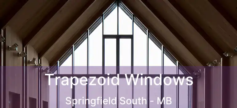  Trapezoid Windows Springfield South - MB
