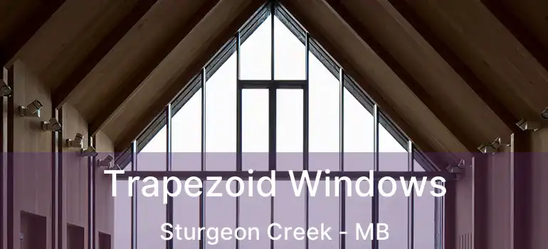  Trapezoid Windows Sturgeon Creek - MB
