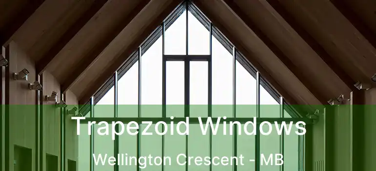  Trapezoid Windows Wellington Crescent - MB