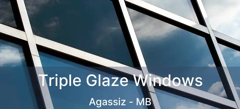  Triple Glaze Windows Agassiz - MB