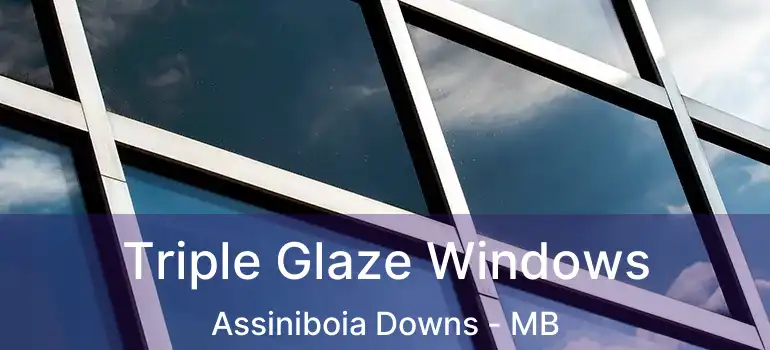  Triple Glaze Windows Assiniboia Downs - MB