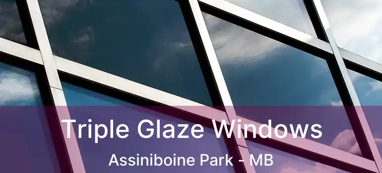  Triple Glaze Windows Assiniboine Park - MB