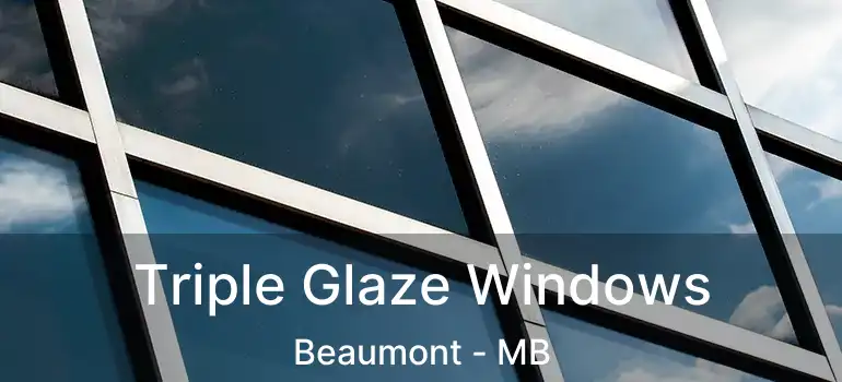  Triple Glaze Windows Beaumont - MB