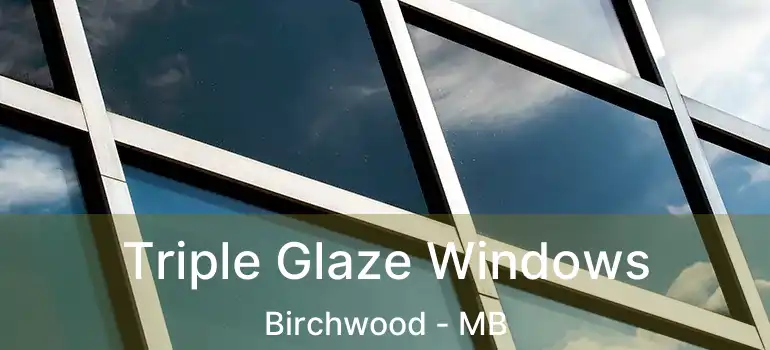  Triple Glaze Windows Birchwood - MB