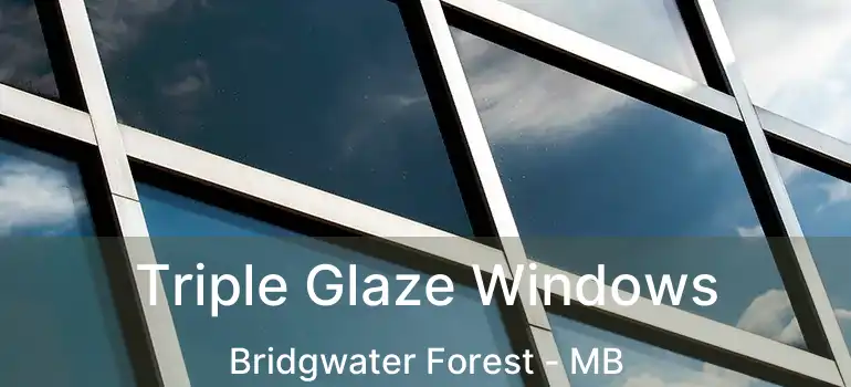  Triple Glaze Windows Bridgwater Forest - MB