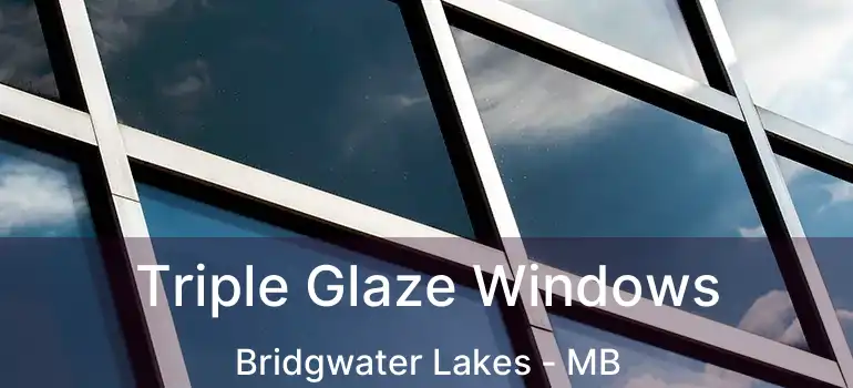  Triple Glaze Windows Bridgwater Lakes - MB