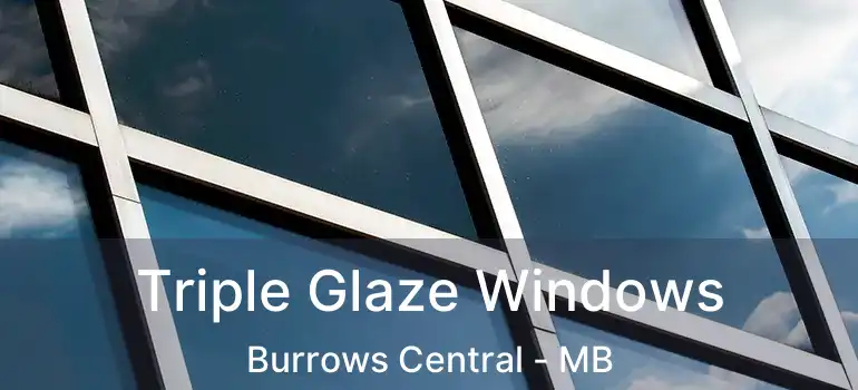  Triple Glaze Windows Burrows Central - MB