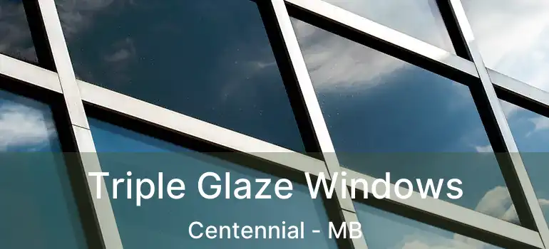  Triple Glaze Windows Centennial - MB