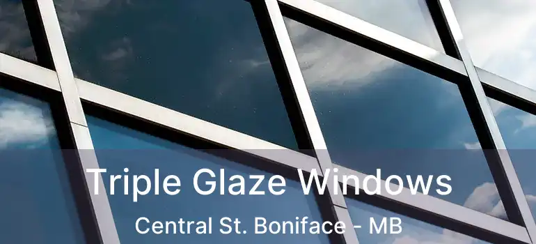  Triple Glaze Windows Central St. Boniface - MB