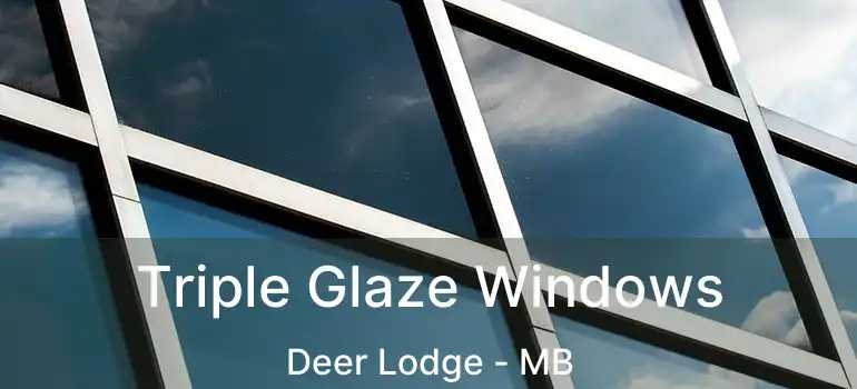  Triple Glaze Windows Deer Lodge - MB