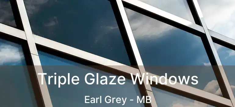  Triple Glaze Windows Earl Grey - MB