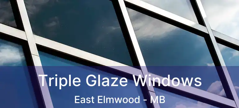  Triple Glaze Windows East Elmwood - MB
