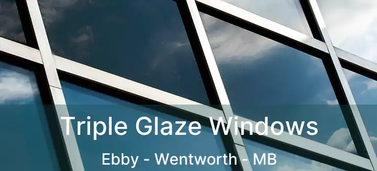  Triple Glaze Windows Ebby - Wentworth - MB