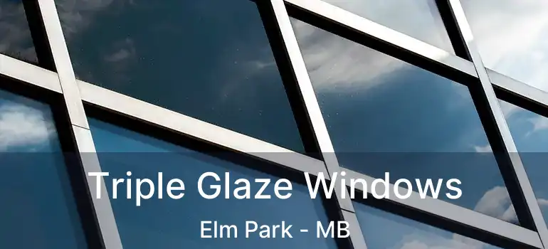  Triple Glaze Windows Elm Park - MB