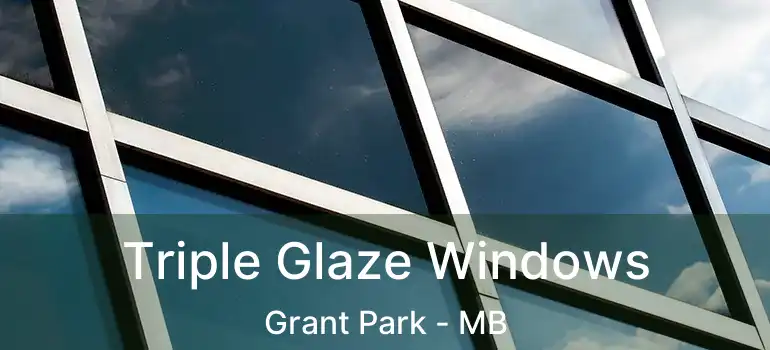  Triple Glaze Windows Grant Park - MB