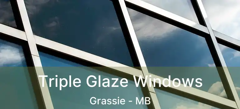  Triple Glaze Windows Grassie - MB