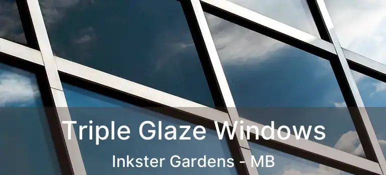  Triple Glaze Windows Inkster Gardens - MB