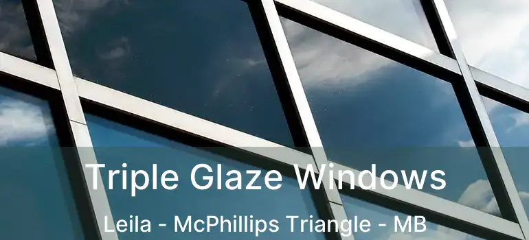  Triple Glaze Windows Leila - McPhillips Triangle - MB