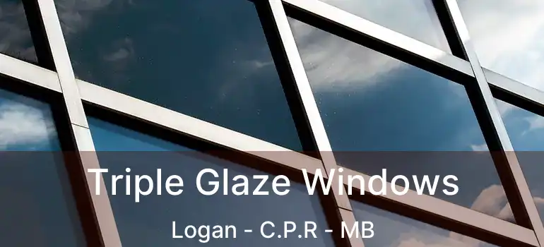 Triple Glaze Windows Logan - C.P.R - MB
