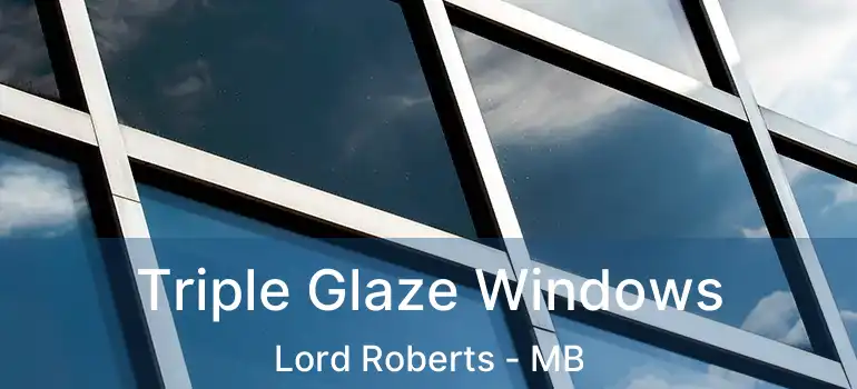  Triple Glaze Windows Lord Roberts - MB