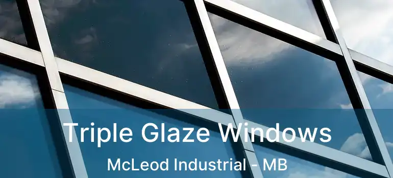  Triple Glaze Windows McLeod Industrial - MB