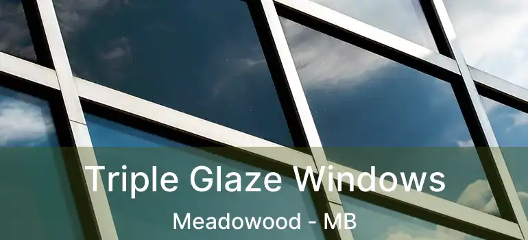  Triple Glaze Windows Meadowood - MB