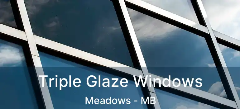  Triple Glaze Windows Meadows - MB