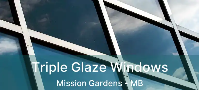  Triple Glaze Windows Mission Gardens - MB