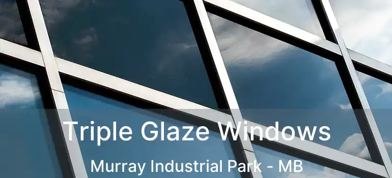  Triple Glaze Windows Murray Industrial Park - MB