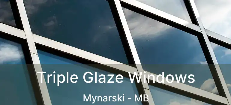  Triple Glaze Windows Mynarski - MB