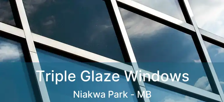  Triple Glaze Windows Niakwa Park - MB