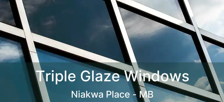  Triple Glaze Windows Niakwa Place - MB
