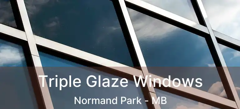  Triple Glaze Windows Normand Park - MB
