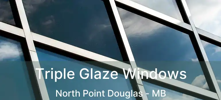  Triple Glaze Windows North Point Douglas - MB