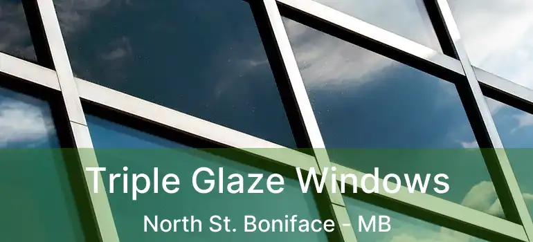 Triple Glaze Windows North St. Boniface - MB