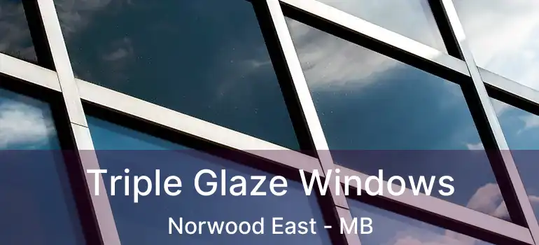 Triple Glaze Windows Norwood East - MB
