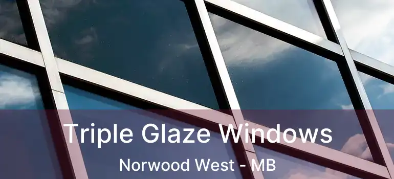  Triple Glaze Windows Norwood West - MB
