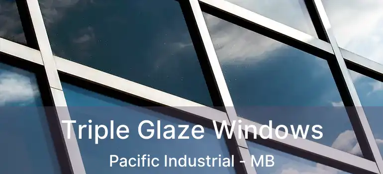  Triple Glaze Windows Pacific Industrial - MB