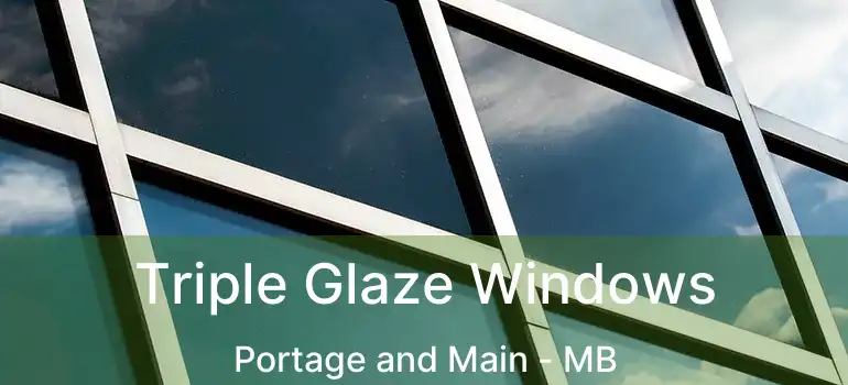  Triple Glaze Windows Portage and Main - MB