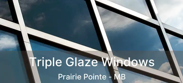  Triple Glaze Windows Prairie Pointe - MB