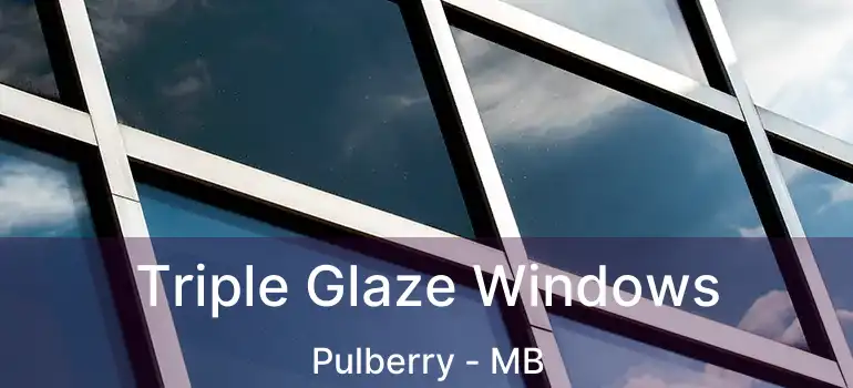  Triple Glaze Windows Pulberry - MB